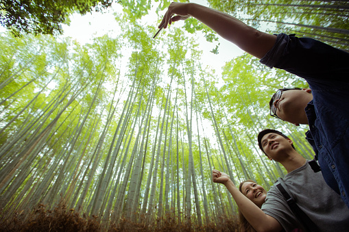 Multi Exposure Composition Image, Group of International Students taking photos in the Bamboo Forest, Arashiyama, Kyoto, Japan.