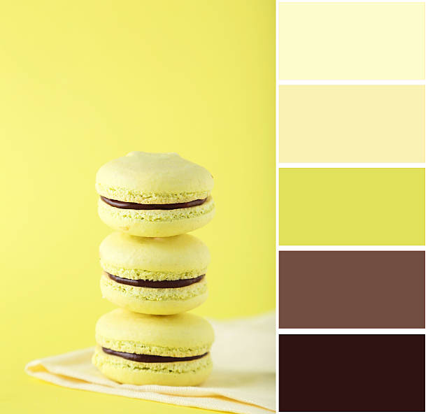 istock Color palette with french macarons on yellow background 603293630