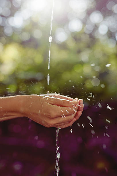 istock Water and life are one 603297016