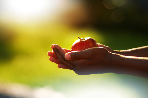 Heart made of apples on a lawn