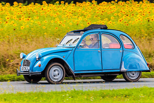 Dieren, The Netherlands - August 12, 2016: Retro styled image of a Vintage Citroen 2CV on a local road in front of a field with blooming sunflowers in Dieren, The Netherlands