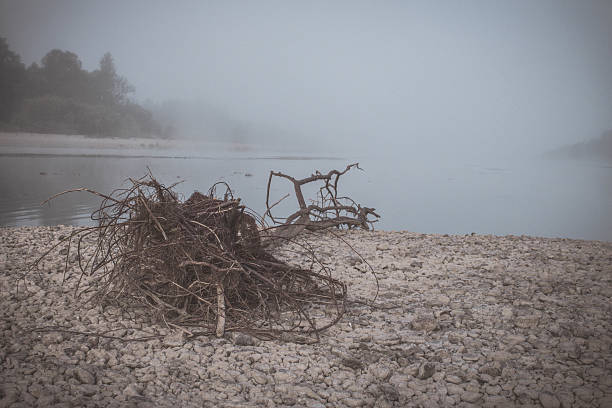 утренний туман на реке - winter river стоковые фото и изображения