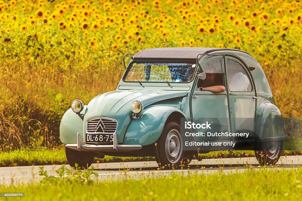 Vintage Citroen 2CV in front of blooming sunflowers Dieren, The Netherlands - August 12, 2016: Retro styled image of a Vintage Citroen 2CV on a local road in front of a field with blooming sunflowers in Dieren, The Netherlands Citroën 2CV Stock Photo