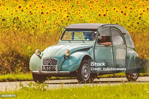 Vintage Citroen 2cv In Front Of Blooming Sunflowers Stock Photo - Download Image Now