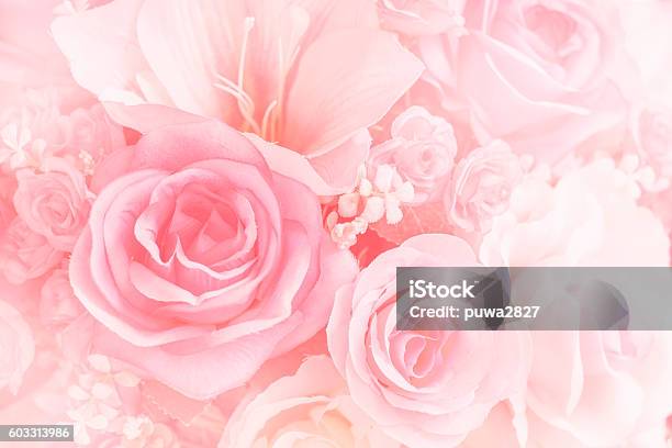 Rose Flowers Stock Photo - Download Image Now - Rose - Flower, Pink Color, Flower