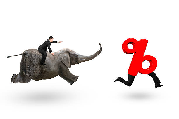istock Businessman riding elephant running after percentage sign 603314004