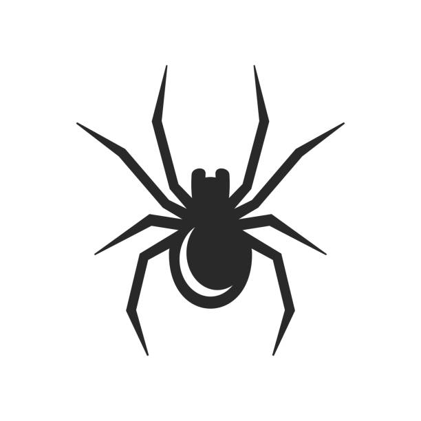 schwarze spinne symbol. vektor - spider stock-grafiken, -clipart, -cartoons und -symbole