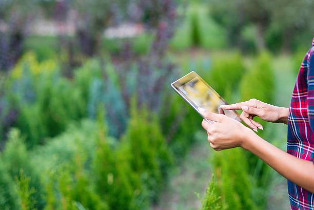 istock Close up of a digital tablet 603317060