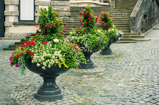 Bright flowers in stone flowerpots on cobblestone street in Germany, Europe. Urban detail