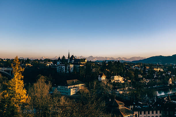 istock High Angle View Of Residential District Against Clear Sky 603737371