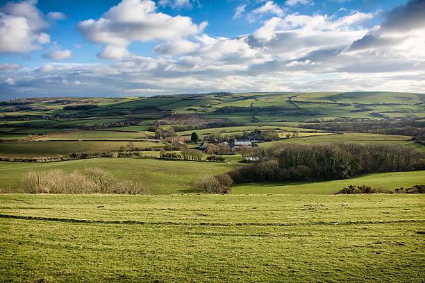 istock Scenic View Of Landscape Against Cloudy Sky 603765705