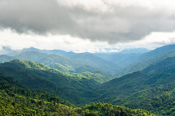 istock Fforest on mountain range landscape on haze day 603822330
