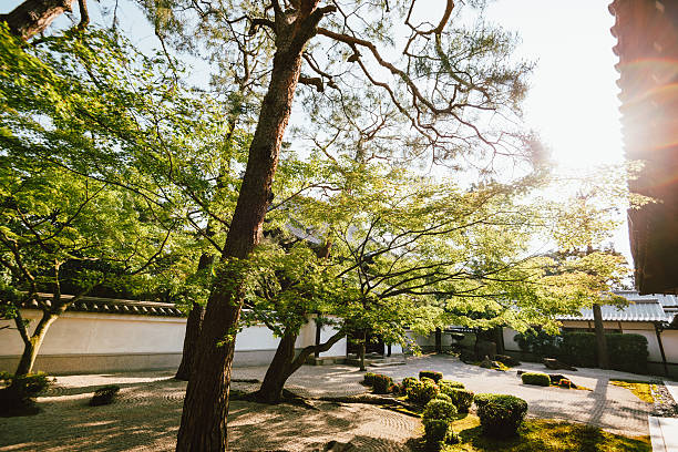 istock Shrine in Kyoto in beautiful summer sunset 603825888