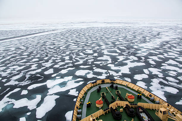 istock Icebreaker in the Arctic ocean cruising in pack ice 603827596