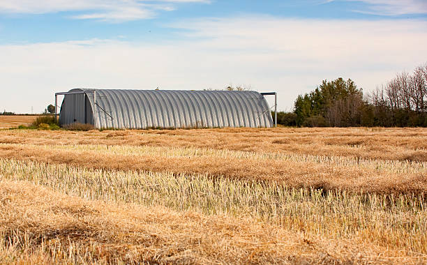 swathed pole rzepaku w saskatchewan z quonset machine shed - quonset zdjęcia i obrazy z banku zdjęć