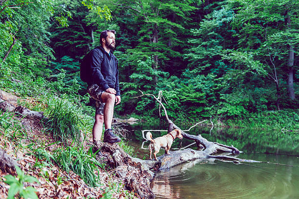 Man with beard standing on floating tree log by the lake shore and looking at the distance. Small yellow dog is playing near by.