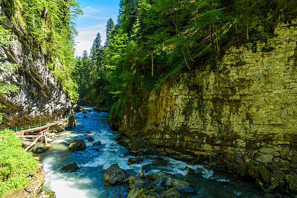 breitachklamm - desfiladeiro com rio no sul da alemanha - oberstdorf - fotografias e filmes do acervo