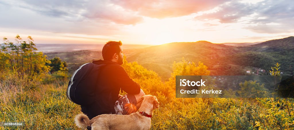 Man with dog enjoying mountain sunset Man with beard and his small yellow dog enjoying mountain sunset and looking at the distance. He is waring black backpack and black sport sweater. Dog Stock Photo