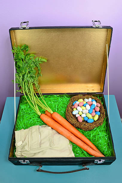 Concept of What the Easter Bunny Packs stock photo