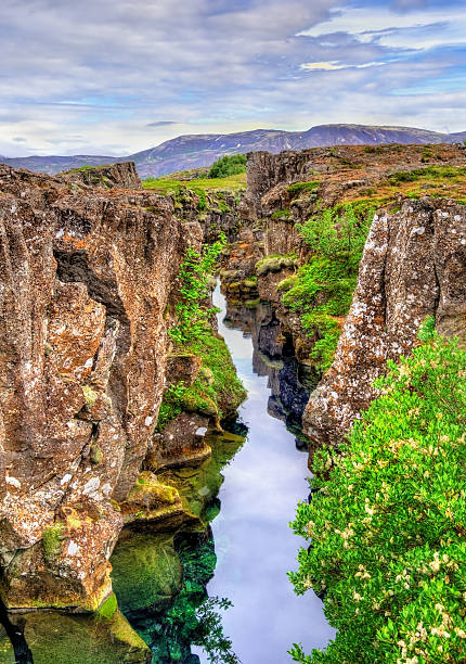 istock Water in a fissure between tectonic plates in the Thingvellir 603853158
