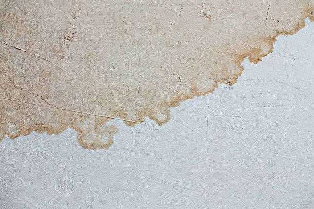 istock traces of stains 603856512