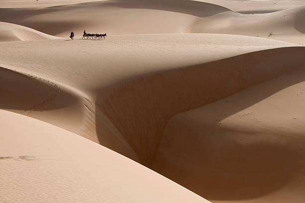 istock donkey caravan in sahara desert with large chasm of sand 603856922