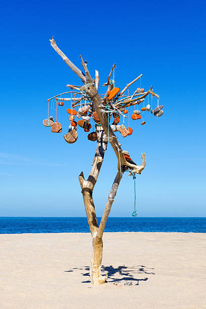 istock composition of the stones and dry tree on background of 603858328