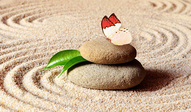 istock Butterfly on a zen stone with circle in the sand. 603858460