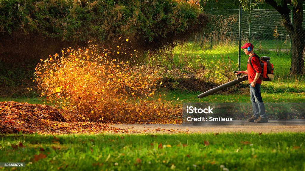 Schwerer Laubbläser in Aktion - Lizenzfrei Blatt - Pflanzenbestandteile Stock-Foto