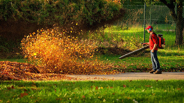 Heavy duty leaf blower in action stock photo