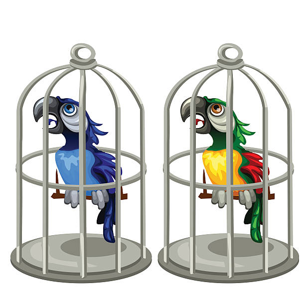 два красочных тропических попугаев в птичьей клетке - parrot multi colored bird perching stock illustrations
