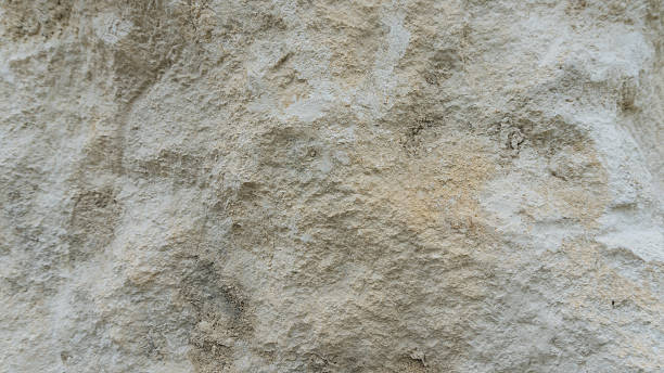 istock Pinczow Debnik Limestone Stone Texture 603861548