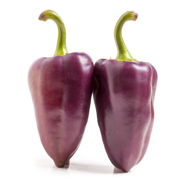 istock two purple peppers isolated on white background macro 603863100