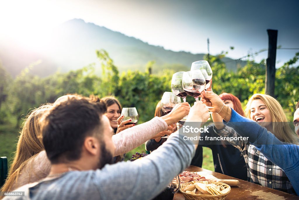 Freunde toasten mit Rotwein nach der Ernte - Lizenzfrei Wein Stock-Foto