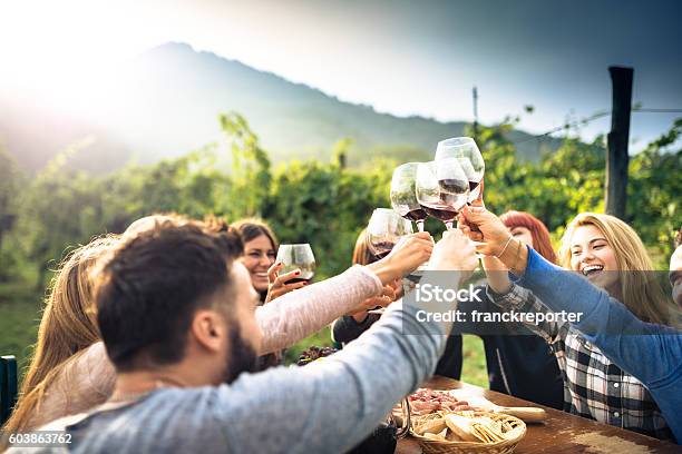 Freunde Toasten Mit Rotwein Nach Der Ernte Stockfoto und mehr Bilder von Wein - Wein, Weinberg, Trinken