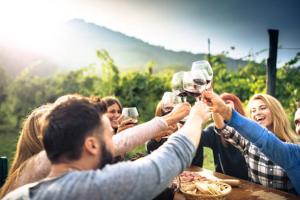 amici tostato con vino rosso dopo la raccolta - italian culture immagine foto e immagini stock