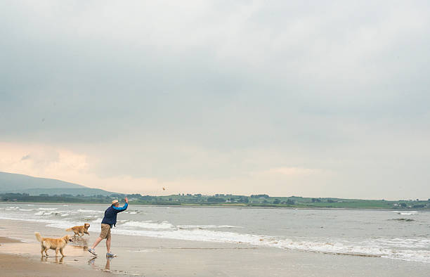 ビーチで犬と遊ぶ男 - sligo ストックフォトと画像