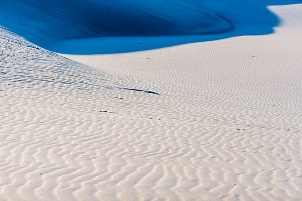 istock beautiful view of the coastal dunes 603864022