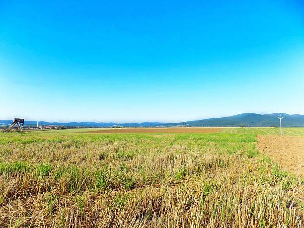 istock Field after harvest and hills in background during sunny day 603864228