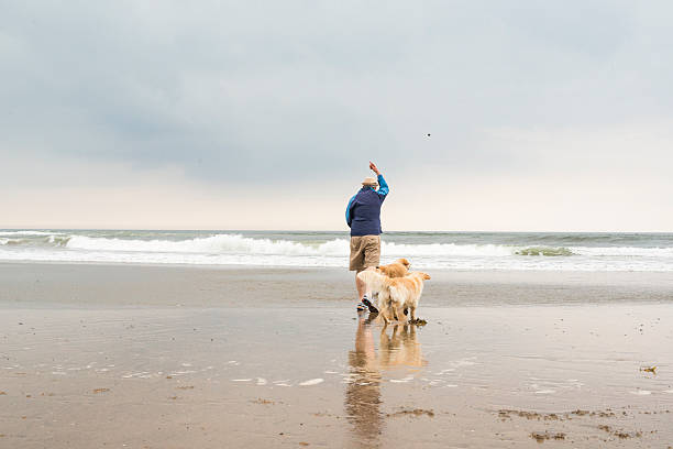 istock Man playing with his dogs on beach 603864302