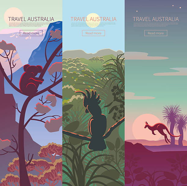 illustrazioni stock, clip art, cartoni animati e icone di tendenza di set di poster di viaggio australiani - kangaroo animal australia outback