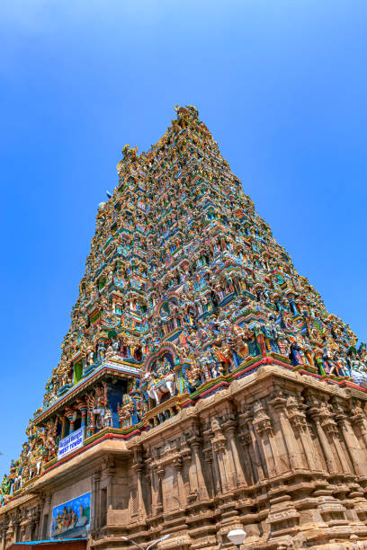 Madurai, India - Meenakshi Amman Hindu Temple The West Gopuram or Entrance Tower, to the Meenakshi Amman Hindu Temple in the 2500 year old South Indian city of Madurai. The City is located in the heart of the South Indian State of Tamil Nadu. The temple has 14 Gopurams in total; but the main ones are located at the North, South, East and West entrances. Gods, Goddesses and stories from Hindu scriptures adorn the Gopuram. The Temple is mentioned in Tamil Literature as early as the 7th Century AD. The current structure was built between 1623 and 1655 during the reign of the King Thirumalai Nayak. The tempe is a major tourist attraction. Photo shot in the morning sunlight, against a blue sky.  Vertical format.  Interesting angle. No people. menakshi stock pictures, royalty-free photos & images