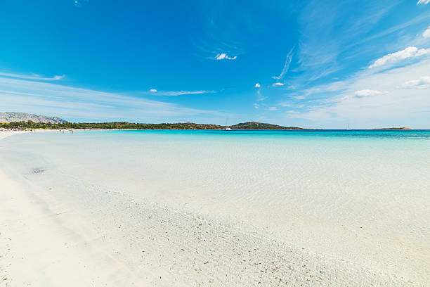 istock Cala Brandinchi under a blue sky 603870472