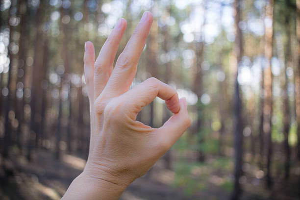istock OK gesture articulated by hand on contiferous forest background 603872790