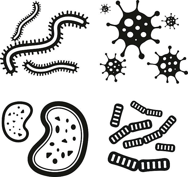 значок вектора вируса бактерий - biohazard symbol computer bug biology virus stock illustrations