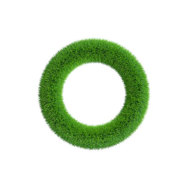 istock Grass frame in form of circle. Isolated on white background. 603873714