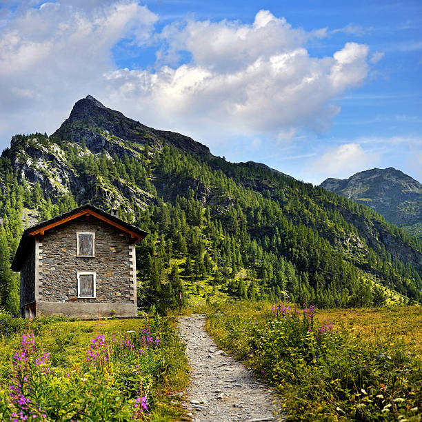 This alpine cabin was photographed on a wildflower filled hill in the Z'mutt Meadows near Zermatt, Valais Canton, Switzerland.
