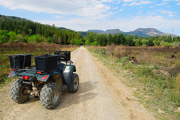 istock Quad bike, ATV, in the wilderness 603889304