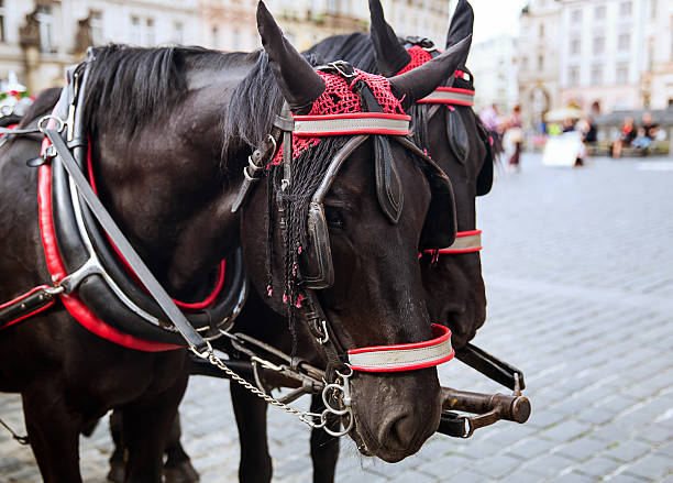 istock Horse Carriage at the Old Square in Prague 603897074