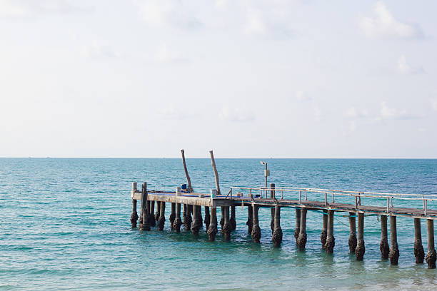 istock beach and wood pier 603897880